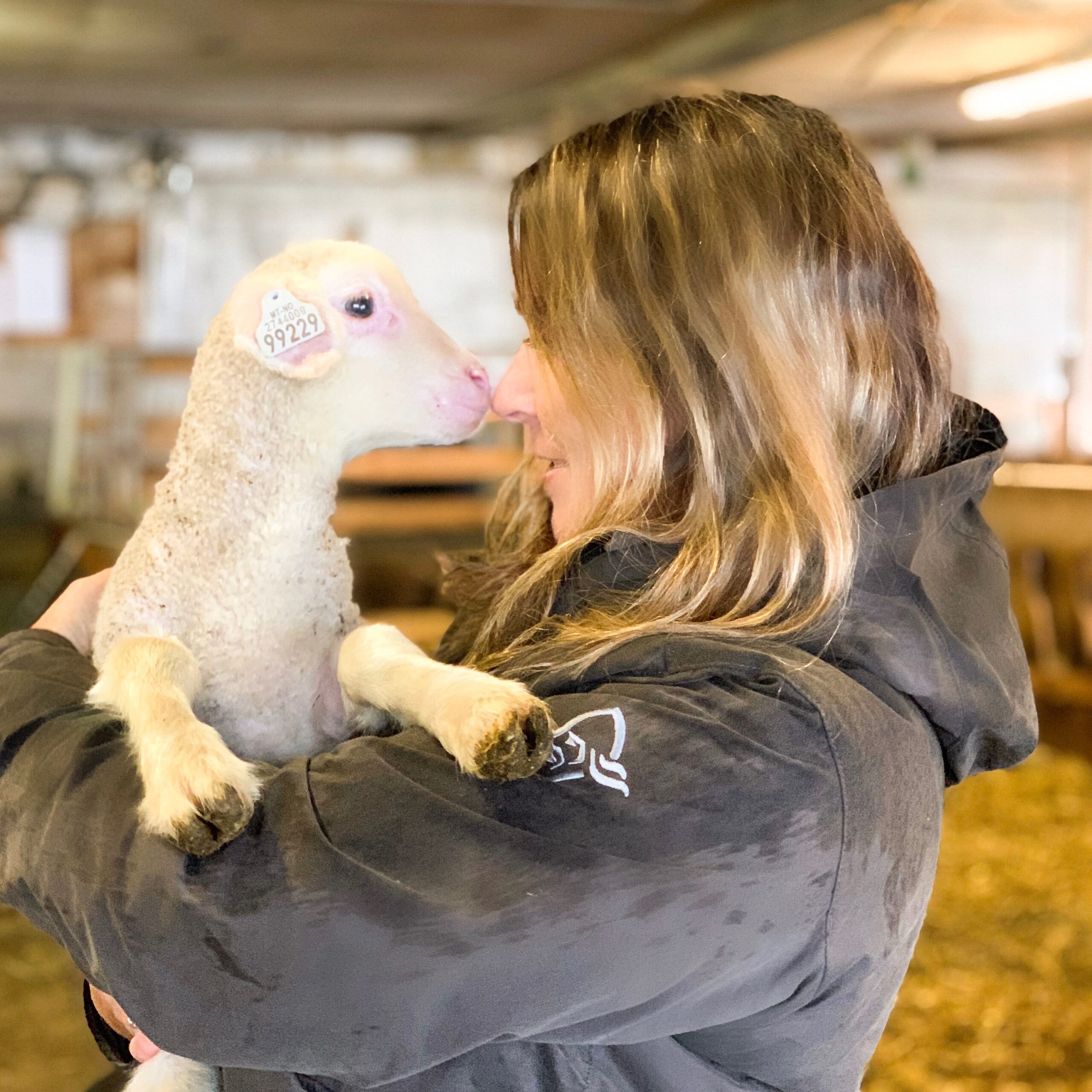 Leine Merino, kjærlighet ved første blikk!