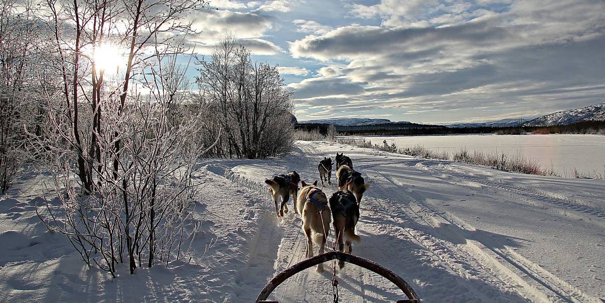 Et Husky eventyr på Finnmarksvidda!